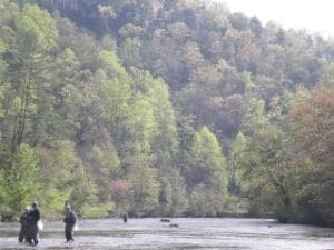 A group of people fishing in a river with trees in the background.